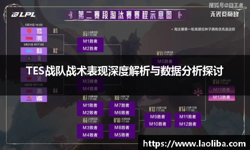 TES战队战术表现深度解析与数据分析探讨