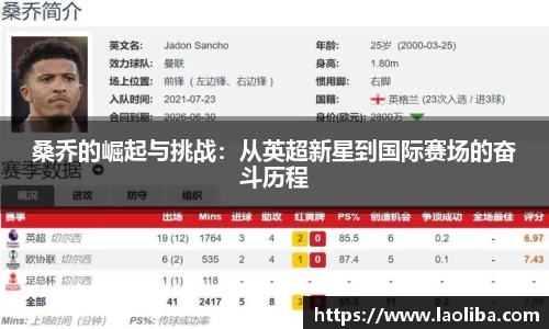 桑乔的崛起与挑战：从英超新星到国际赛场的奋斗历程