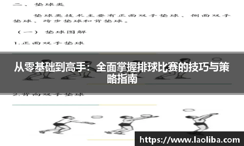 从零基础到高手：全面掌握排球比赛的技巧与策略指南